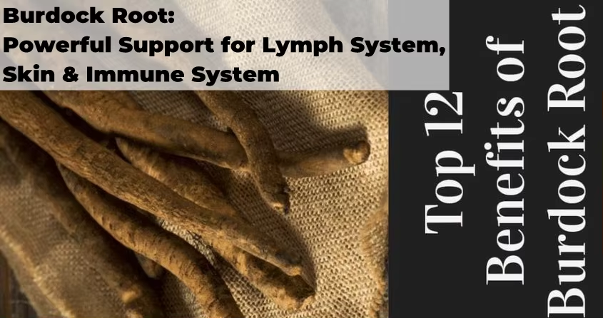 Burdock Root.png