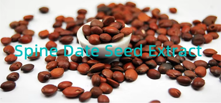 Spine Date Seed Extract.png