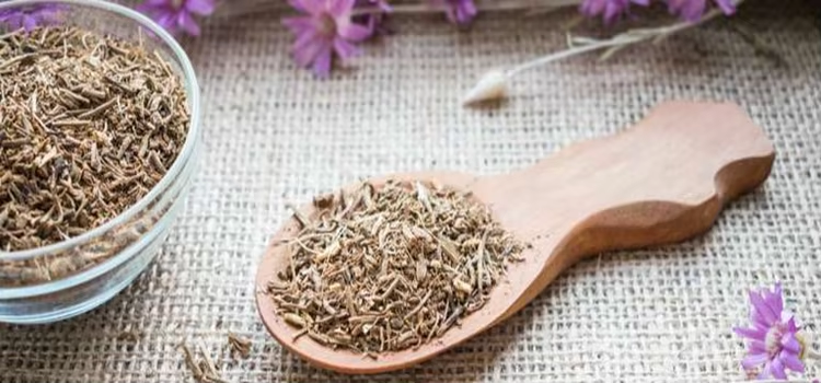 Valerian Root Extract: A Natural Solution for Modern Stress and Sleep Issues