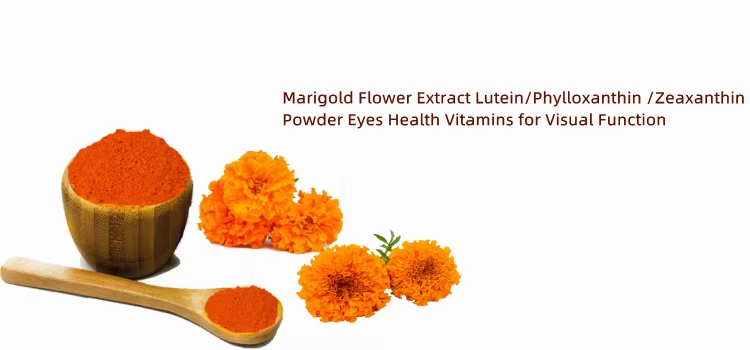 Calendula Extract: A Versatile Natural Remedy for Skin and Health