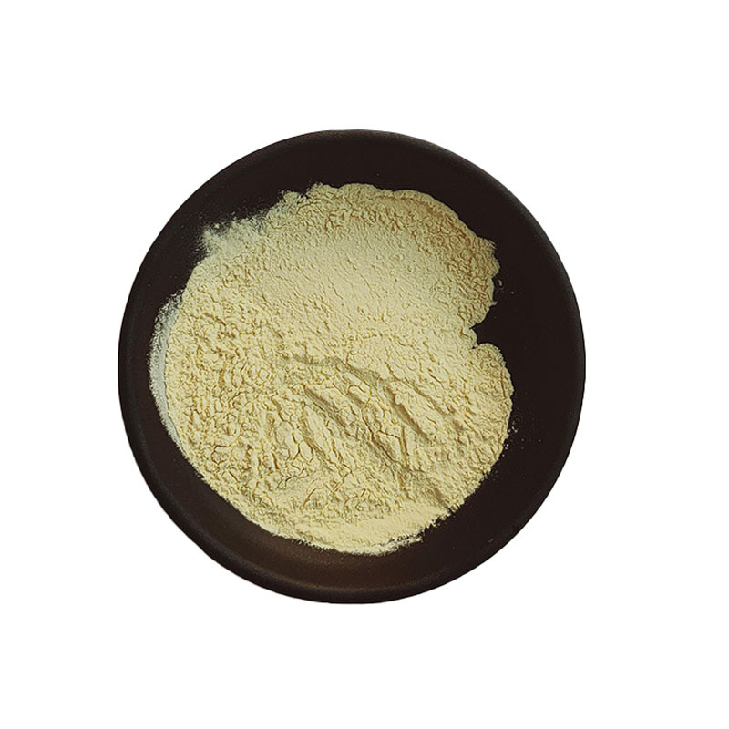 Ginger Extract 1% Gingerols Powder Natural Botanical Ingredient Supplier