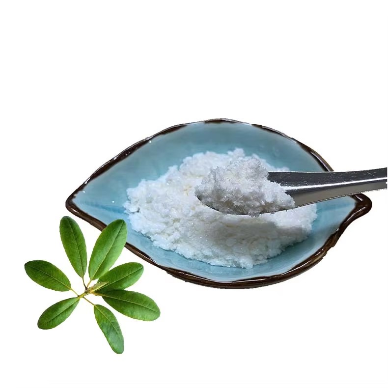 Ursolic Acid 80% Factory Supply Cosmetic Grade Anti-aging Loquat Leaf Extract