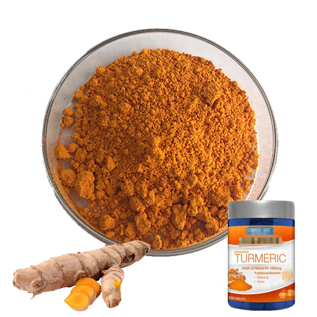 Curcumin 95% Powder Natural & Synthetic Turmeric Extract Manufacturer